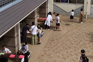 IMG_0632 IMG_0632