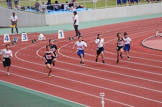 IMG_6685 IMG_6685