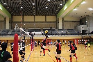 IMG_6840 IMG_6840
