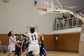 IMG_6989 IMG_6989