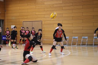 IMG_7091 IMG_7091
