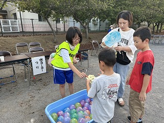 IMG_3505 IMG_3505