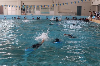 IMG_1221 IMG_1221