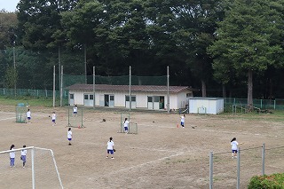 IMG_1274 IMG_1274