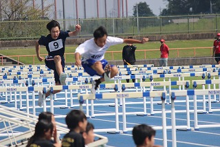 IMG_8448 IMG_8448