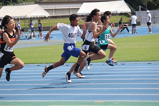 IMG_8487 IMG_8487