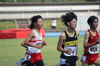 IMG_8530 IMG_8530