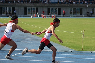 IMG_8562 IMG_8562