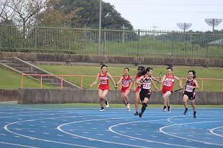 IMG_8548 IMG_8548