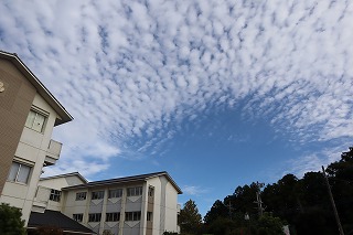 IMG_1361 IMG_1361