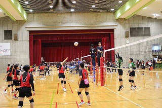 IMG_8731 IMG_8731