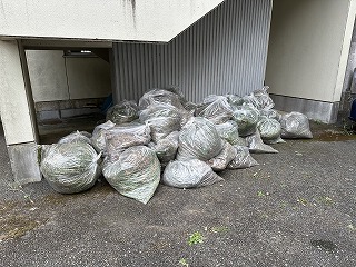 IMG_3682 IMG_3682