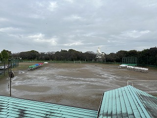 IMG_3798 IMG_3798