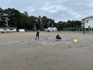 IMG_3801