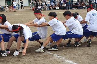 IMG_2197 IMG_2197