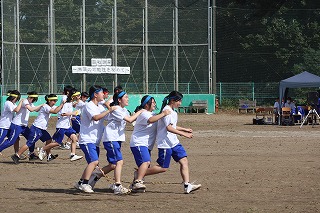 IMG_2493 IMG_2493