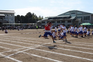 IMG_2663 IMG_2663