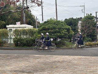 IMG_8712 IMG_8712