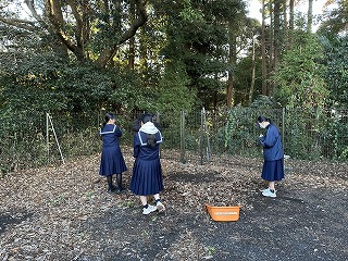 IMG_4089
