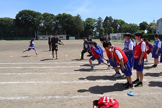 IMG_4602 IMG_4602
