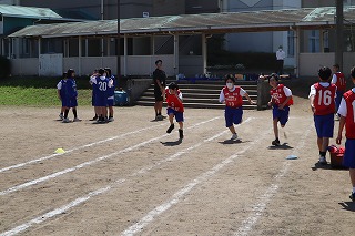 IMG_4617 IMG_4617