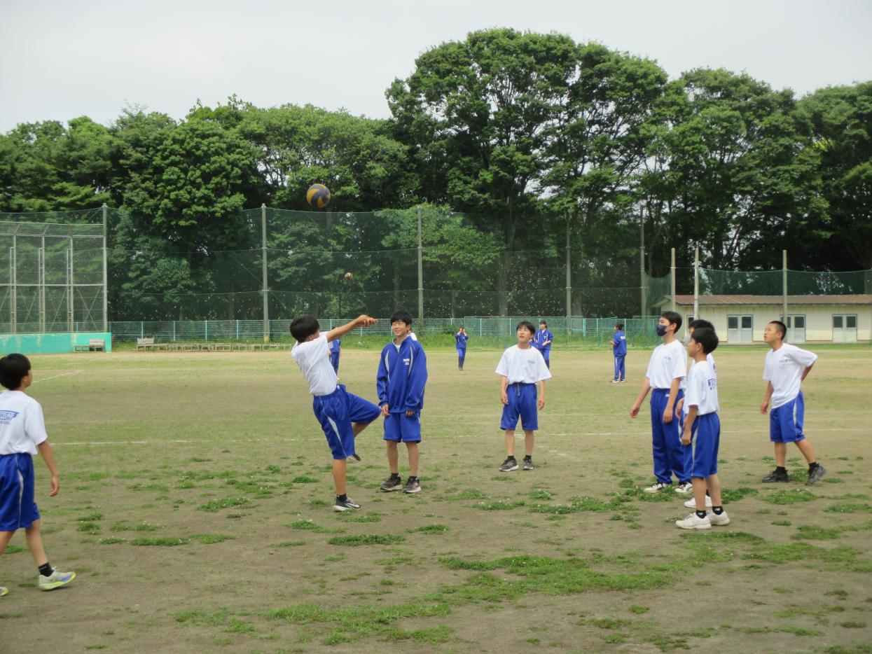 IMG_0728 IMG_0728