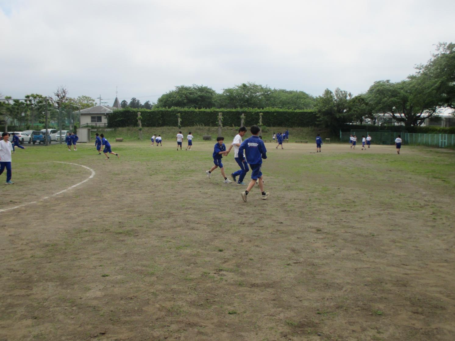 IMG_0731 IMG_0731