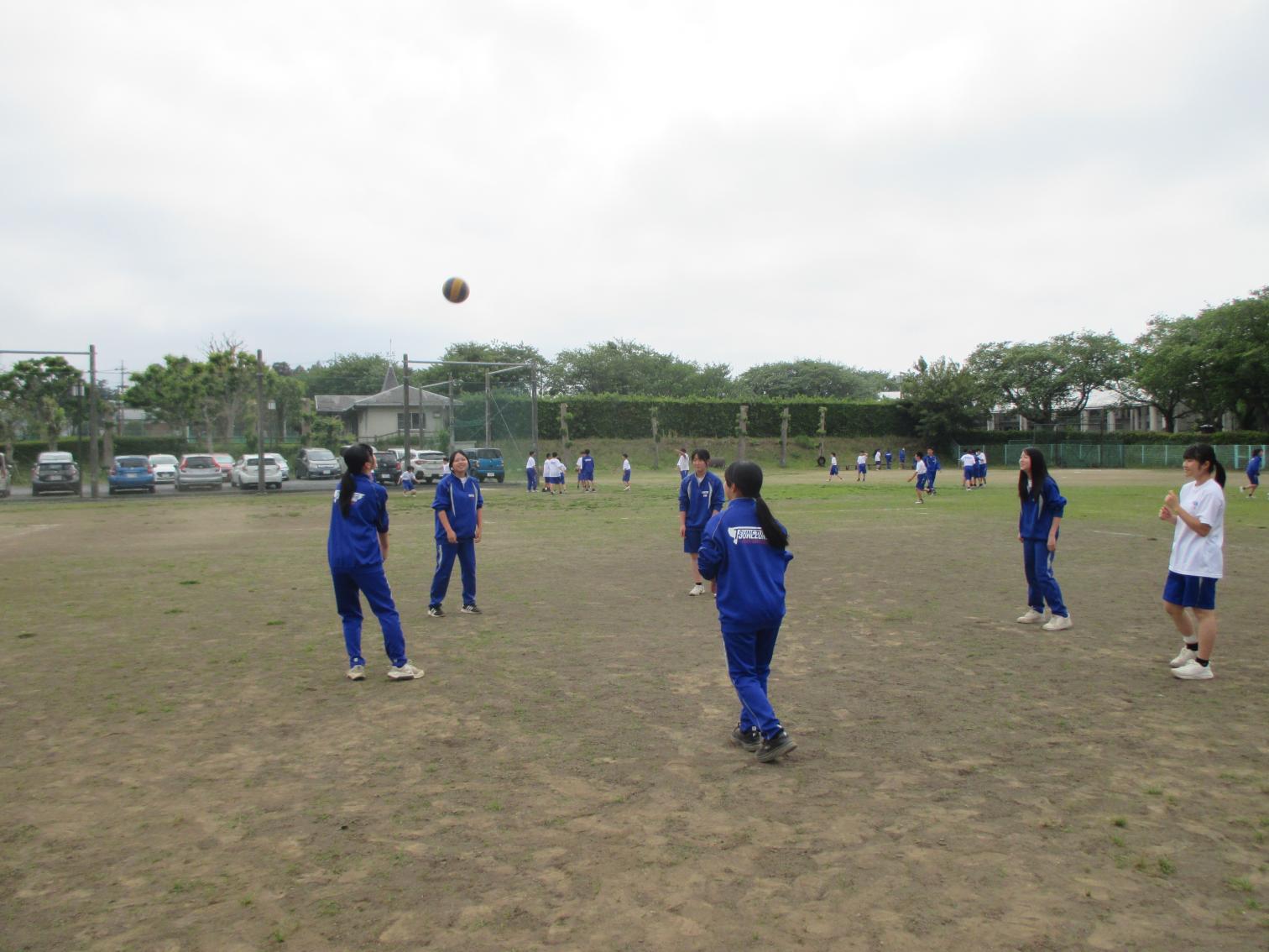 IMG_0733 IMG_0733