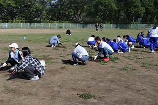IMG_4717 IMG_4717