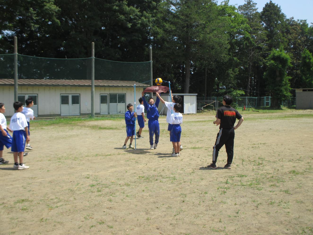IMG_0737 IMG_0737