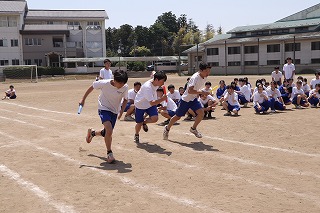 IMG_4812 IMG_4812