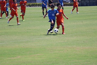 IMG_5279