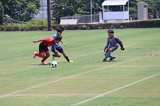 IMG_5337