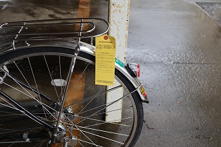 IMG_5374