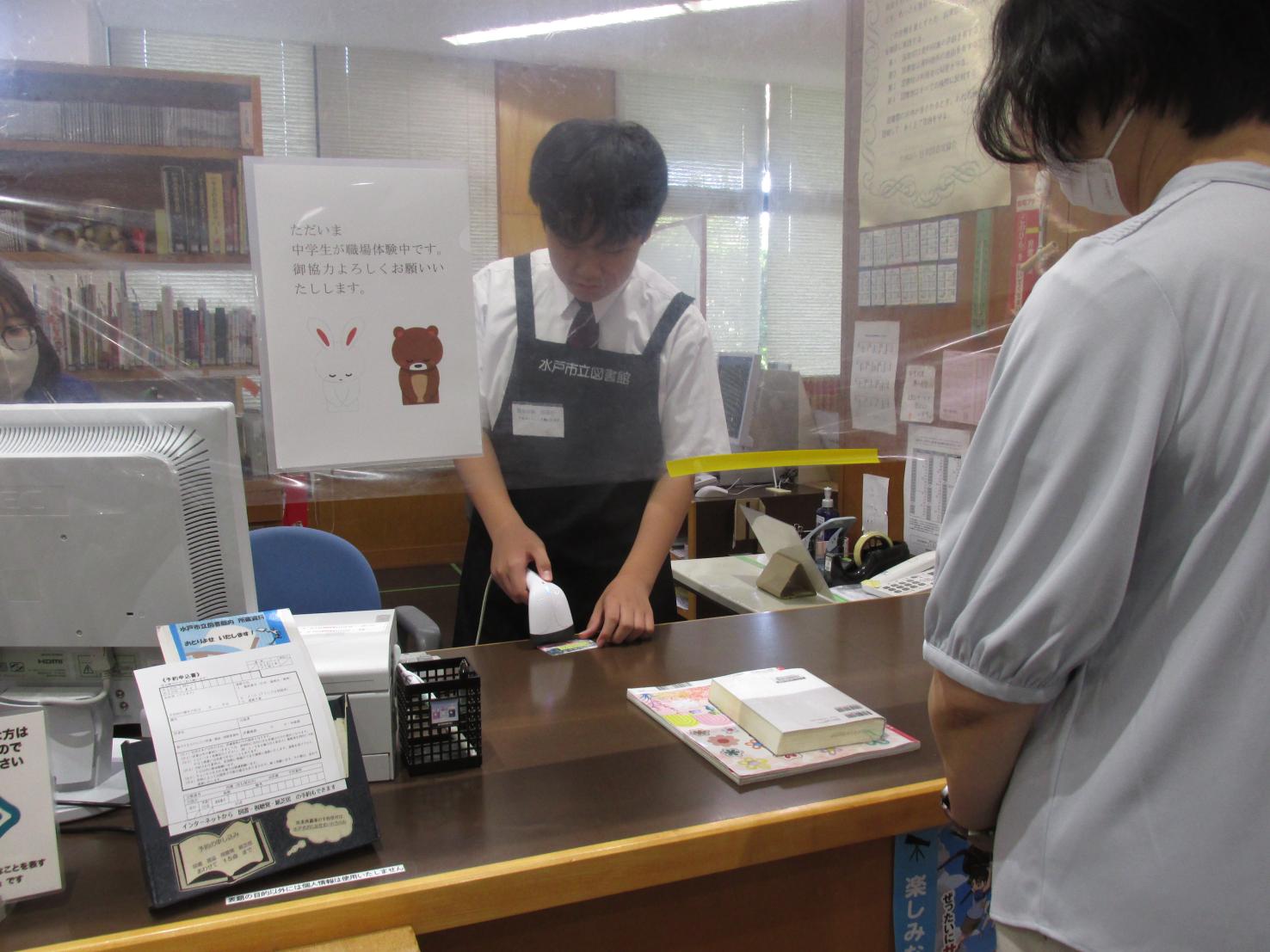 IMG_4974 IMG_4974