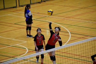DSC_0105 DSC_0105