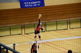 DSC_0151 DSC_0151