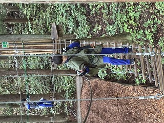 IMG_1008