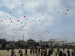 80CC99EC-C667-4F48-B8AF-A97BDC368C1D 80CC99EC-C667-4F48-B8AF-A97BDC368C1D