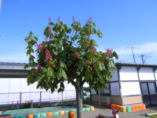 87BFC592-7DC0-4D66-A0CB-F367D90E0710 87BFC592-7DC0-4D66-A0CB-F367D90E0710