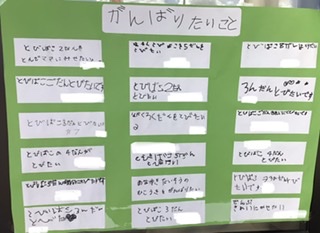 F0E0C129-7CCF-44EE-9FF0-508157A879DF F0E0C129-7CCF-44EE-9FF0-508157A879DF