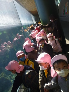 951A1E0D-31C1-45F4-B9AE-3735CC2A2E8D 951A1E0D-31C1-45F4-B9AE-3735CC2A2E8D