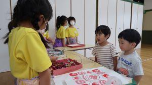 IMG_3543 IMG_3543