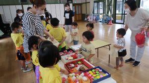 IMG_3537 IMG_3537