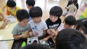 IMG_3597 IMG_3597
