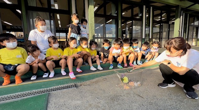内原1 内原1