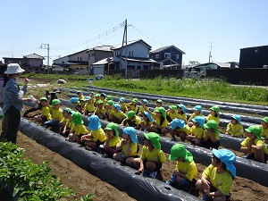 1 1
