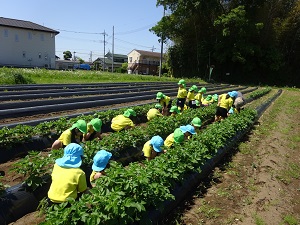 草むしり 草むしり