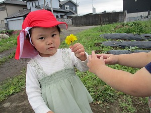 s-300IMG_0003 s-300IMG_0003