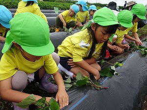 s-300DSC04650 s-300DSC04650